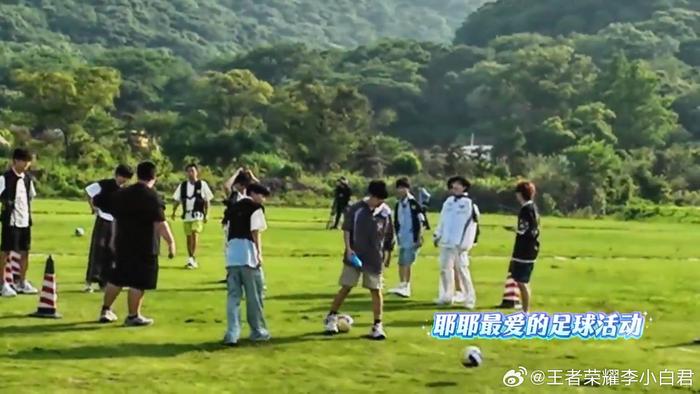 开云登录-花海追梦曼城展现足球热爱